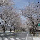 곡성 청소년야영장 이미지