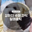 달래홀릭 이미지