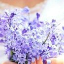 26년 6월 11일(맑음:목)돌산옻닭까지 이미지