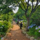 애견샵 어린왕자 이미지