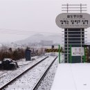 서울백마여행