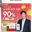 캐시워크 정답 락티움 이미지