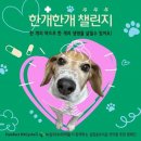 한개
