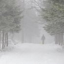 태영목장 이미지