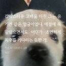 협동조합 인생학교 봄 | 6月- 줄기차게 달리기에 인생