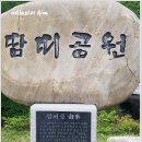 꿈의대화캠핑장 | 평창 대화면 땀띠공원 꿈의대화캠핑장