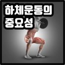 인천 구월동복싱 정우관 하체운동 왜 중요할까요? 이미지