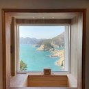 핑스애견펜션 이미지