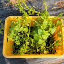 합동행정사 이미지