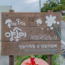 백금로 네이버블로그