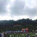 삼성현초등학교 이미지