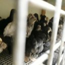 청계유통 이미지