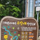 대원사계곡 이미지