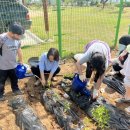 천안봉명초등학교 이미지