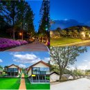 동화힐링캠프 이미지