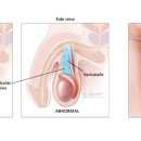 시원비뇨의학과의원 이미지