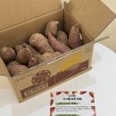 산푸드 | 해남꿀고구마 한입크기 제대로 산 후기| 올바른푸드 베니하루카 3kg 실사용 리뷰