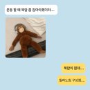 밀라노짐 구성점 이미지