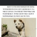 개구멍 이미지