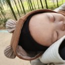 섬진강호텔 이미지