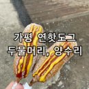 가평맛집 양평 두물머리연핫도그 양수리연핫도그 연잎핫도그 후기
