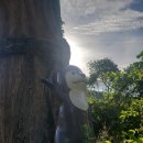 운곡생태습지길 3코스 | 전북천리길 고창군 제2길 운곡습지생태길 2코스 (2025.9.22.)