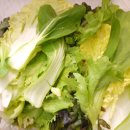 펠리체펜션 이미지