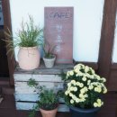 함초롬농원 이미지