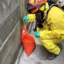 제주밧데리 이미지