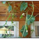 옥봉농장 이미지