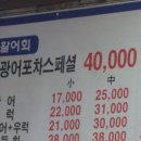 금도수산 | 발산역 횟집 금도수산 광어포차 스폐셜 후기!
