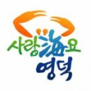 청정해역영덕대게 동아일보