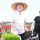 모내기국수