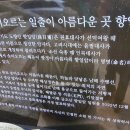 ㈜늘푸른바다 | 남해 최고의 관음성지, 초여름의 푸른 바다를 품은 여수 향일암 힐링 여정