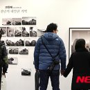 대한민국국제포토페스티벌 이미지