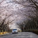 황령산순환도로 이미지