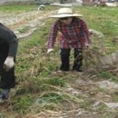 계림동주민센터 이미지