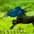 대****