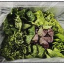 정진농장 이미지