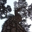 이른아침민박 이미지