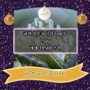 과학마을로 이미지