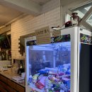 오후펜션 | 춘천 여행 펜션 추천 '오후풀빌라펜션' 개별바베큐 후기