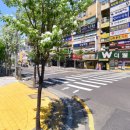 하나아파트 앞 횡단보도 이미지