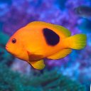 흥덕11단지 경남아너스빌 이미지