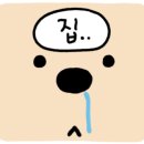 다원보쌈칼국수 이미지