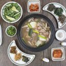 불미골오리 이미지