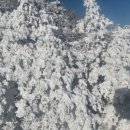 머루와인동굴 화장실 이미지