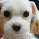 재영 동물병원 이미지