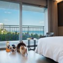 호텔 바다 이미지