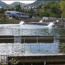 하늘샘송어횟집 이미지